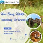 how many wildlife sanctuary in Kerala