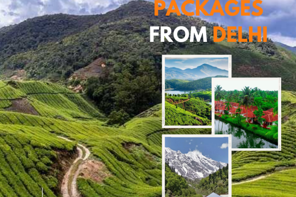 Munnar tour packages from Delhi